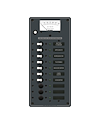 Blue Sea Systems Panel 120VAC 10pos VMtr