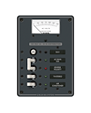 Blue Sea Systems Panel 120VAC 2pos w/ELCI Main 30A VMtr